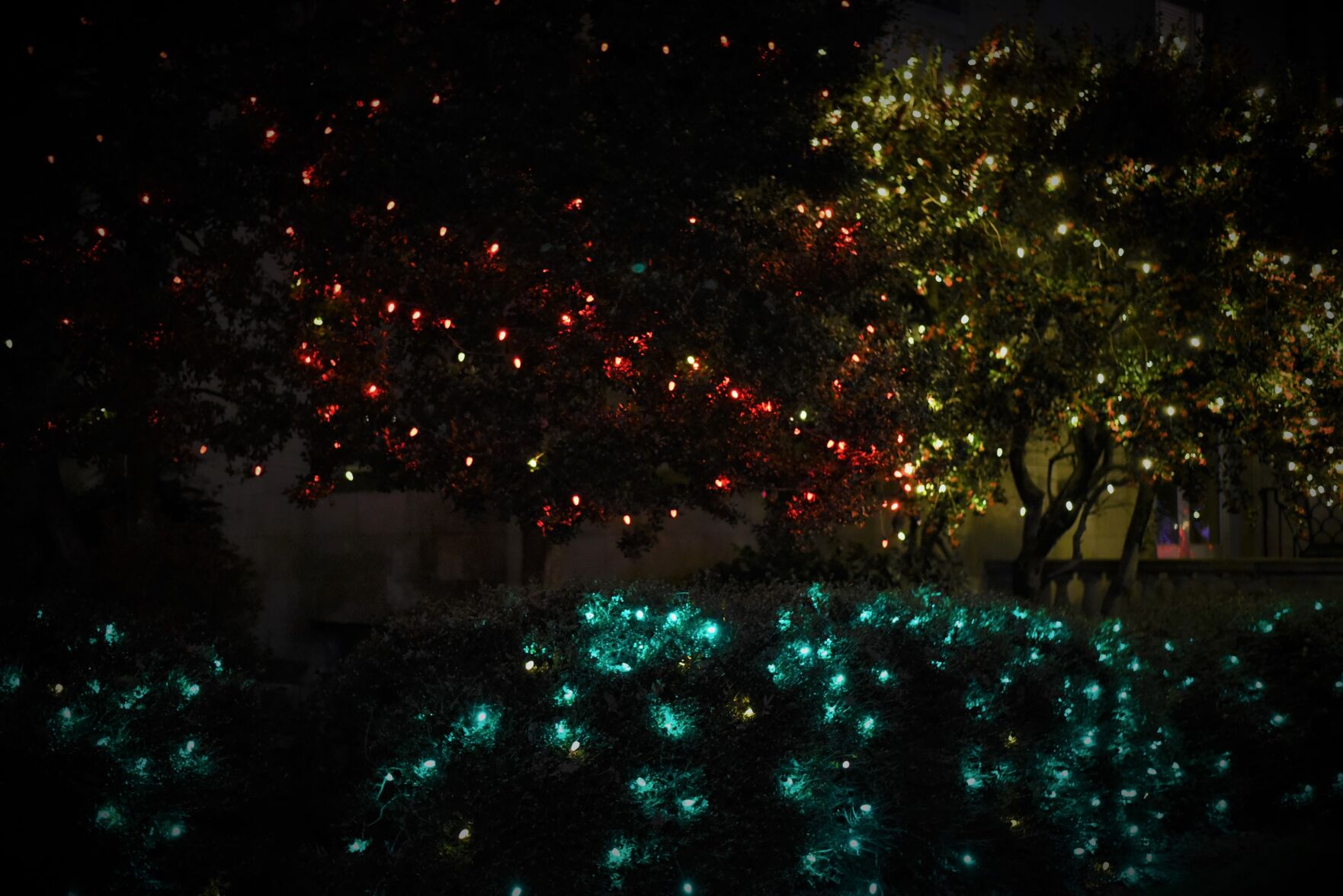 Hoppin nov. 23 (33).JPG